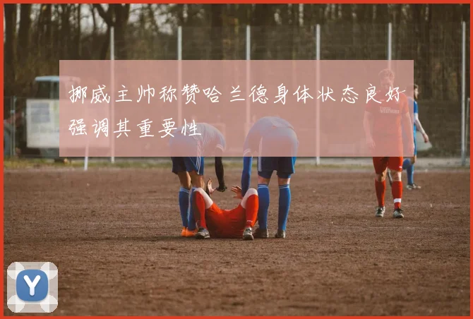 挪威主帅称赞哈兰德身体状态良好强调其重要性
