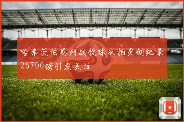 哈弗茨伯恩利战役球衣拍卖创纪录26700镑引发关注